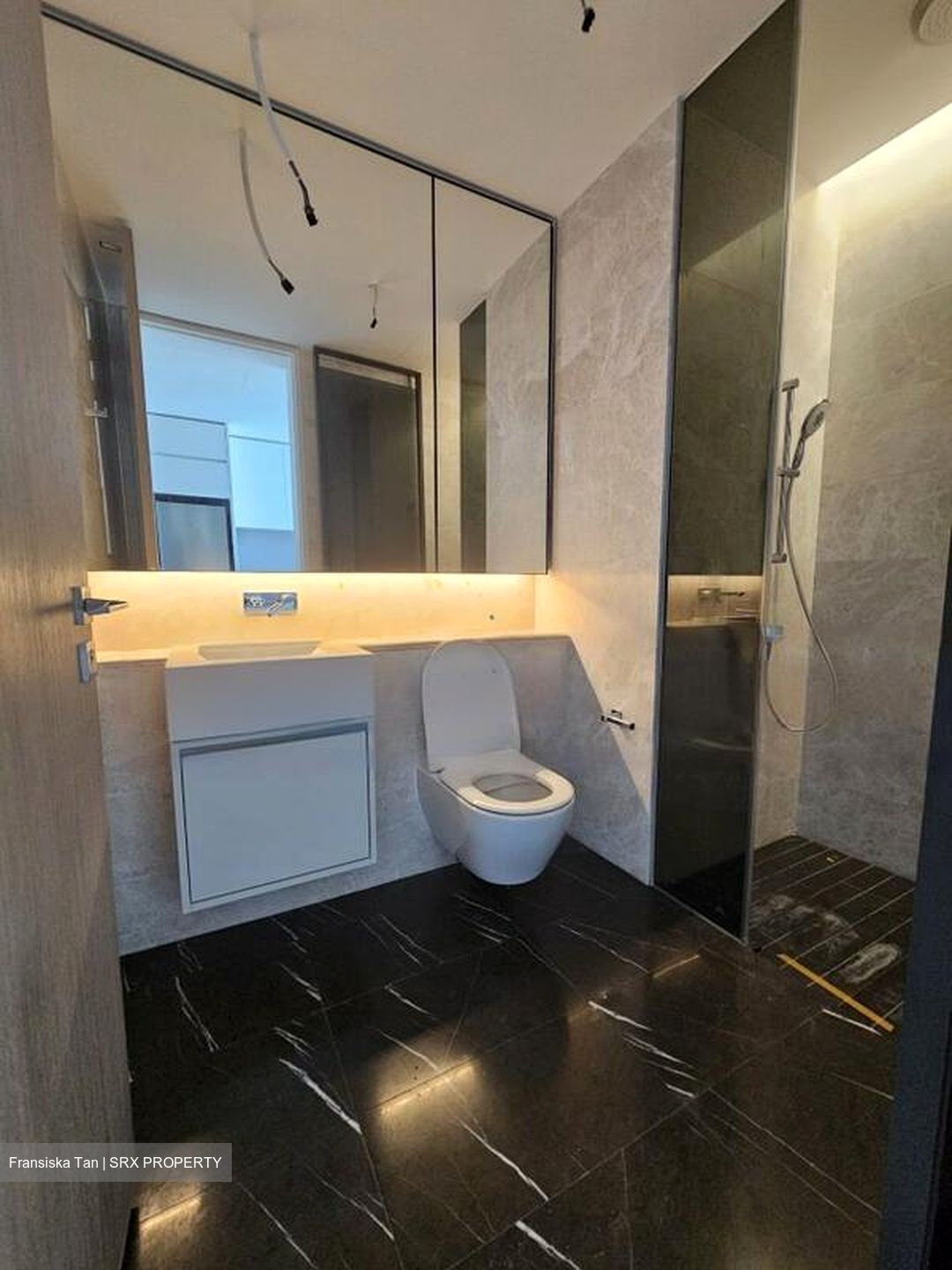 Amber Park (D15), Condominium #447980251